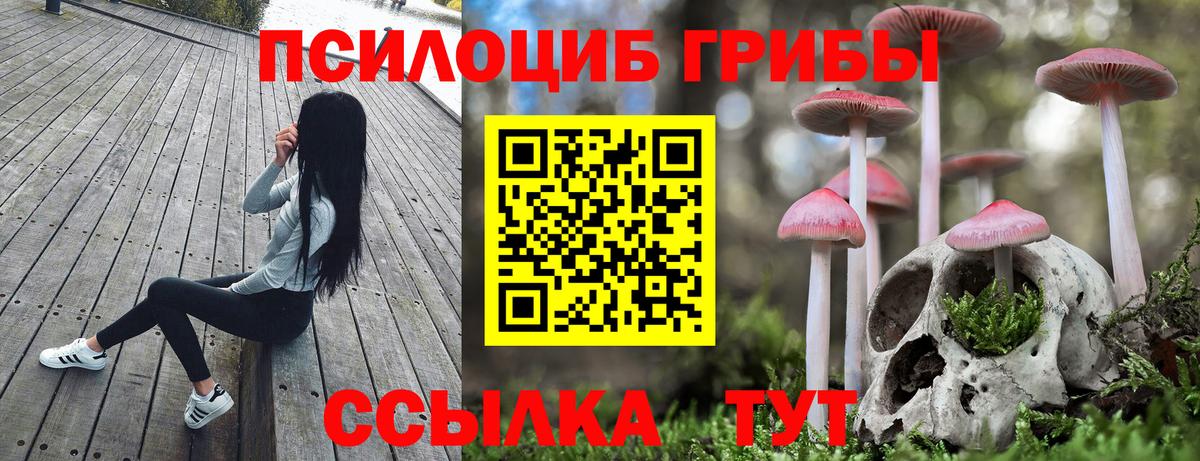 Псилоцибиновые грибы MAGIC MUSHROOMS Владимир