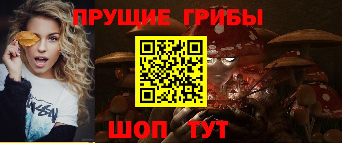 Псилоцибиновые грибы прущие грибы  Вход с VPN  купить  цена  Владимир  Псилоцибиновые грибы мухоморы 